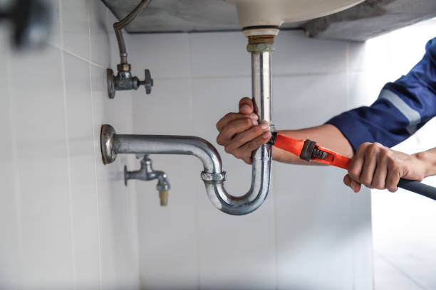 Best Drain Cleaning & Maintenance in Tarrant, AL